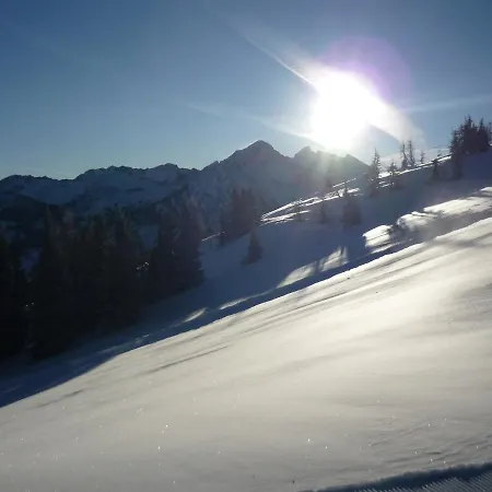 Harreiter * Schladming